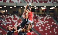 开云体育平台APP-当碾压成为美学，2026世界杯，佩德里用一脚终结了摩洛哥的幻想