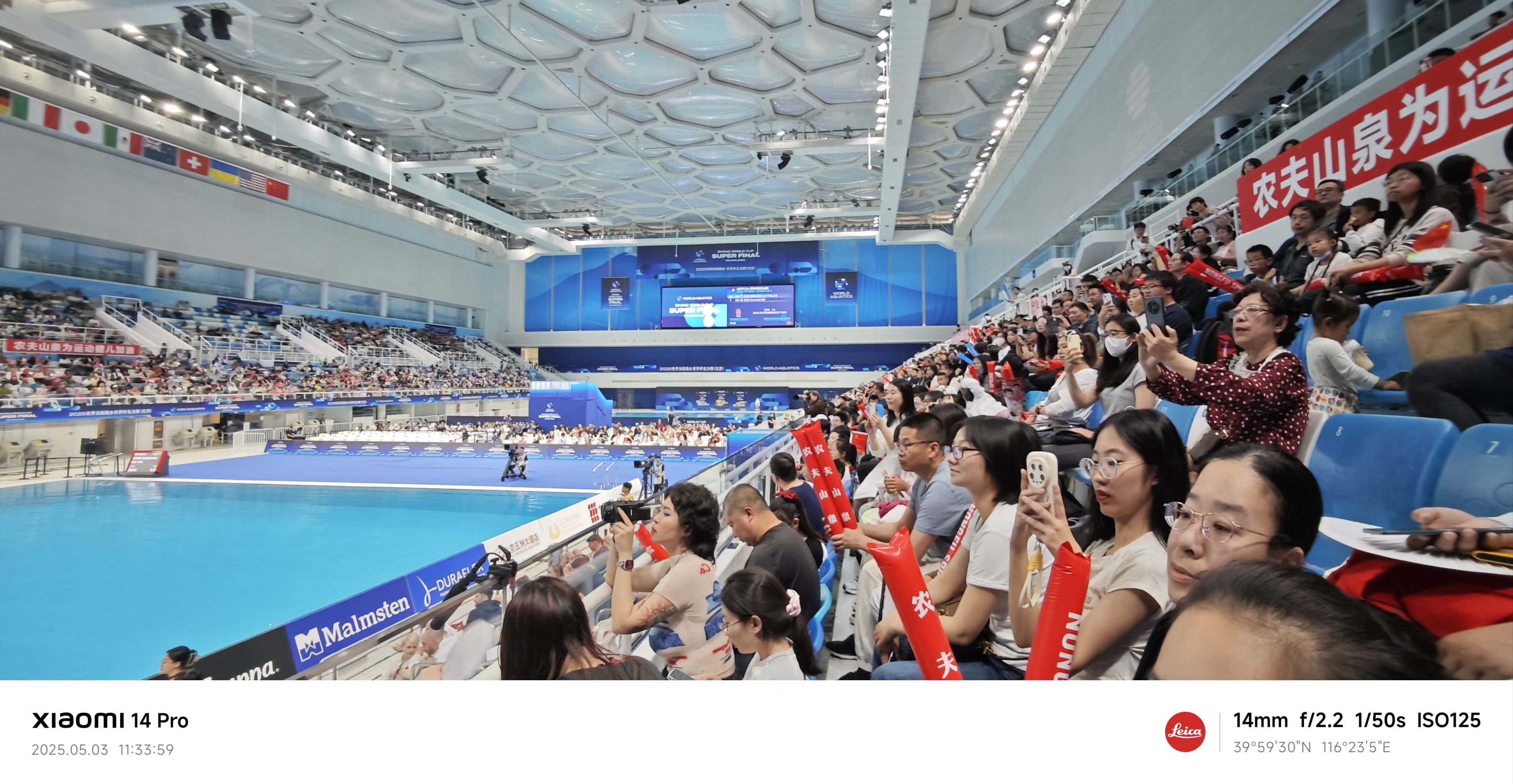 全国瞩目：跳水决赛现场一片欢呼声的简单介绍