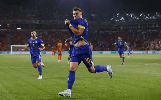 奥地利备战气势如虹：国家队备战欧洲锦标赛预选赛的简单介绍