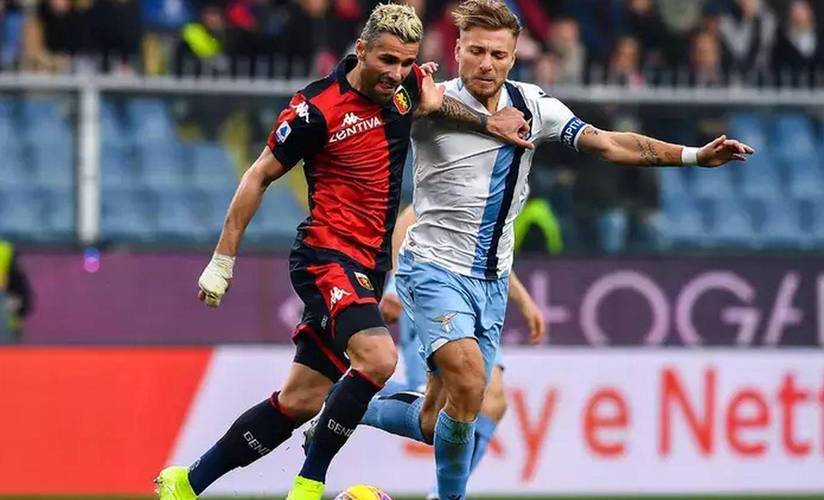 狼队主场大胜埃弗顿，保级形势稍微缓解的简单介绍