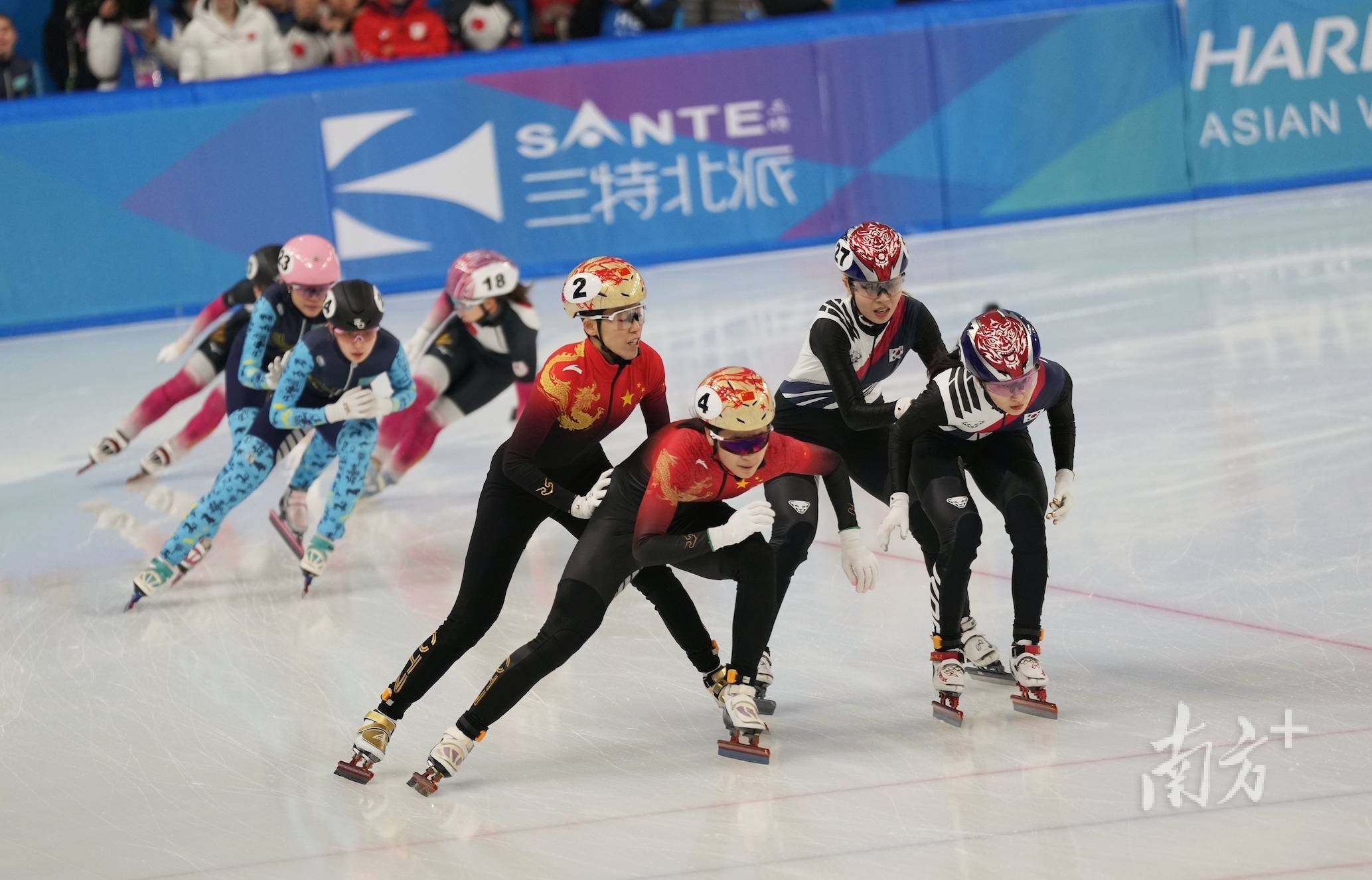 关于短道速滑选手奋力拼搏，一路领先夺冠的信息